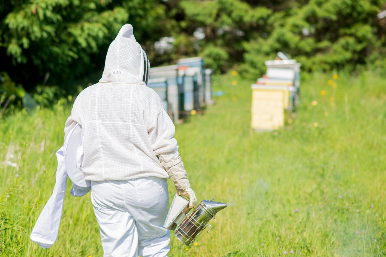 Bee Keeping